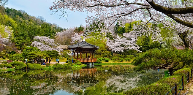 Những Điều Cần Biết Khi Đi Du Lịch Hàn Quốc